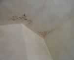 Decorative Scrolling on Dining Room Ceiling